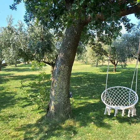 House Ive, Romantic Escape With Jacuzzi, Pool & Olive Grove Charm In Pomer, Istria * Pomer